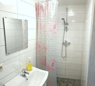 Апартаменты Lampedziai Apartment Каунас Апартаменты-студио-24